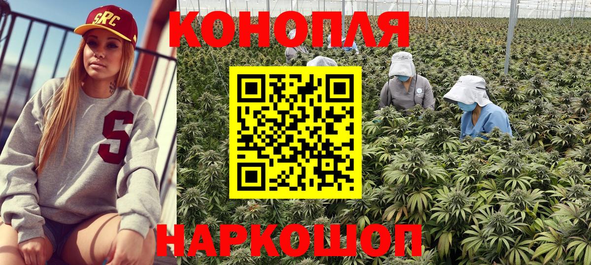 Конопля планчик  Конопля семена  Великий Устюг  Вход с VPN  МАРИХУАНА Amnesia  Марихуана ГИДРОПОН 